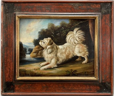 Lot 204 - Ida Calzolari, oil on copper, white spaniel posing by a river, signed, in wooden frame. 23 x 30cm.