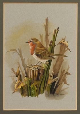 Lot 1246 - *Terance James Bond (1946-2023) watercolour - A Robin, signed, 31cm x 21cm, in glazed gilt frame