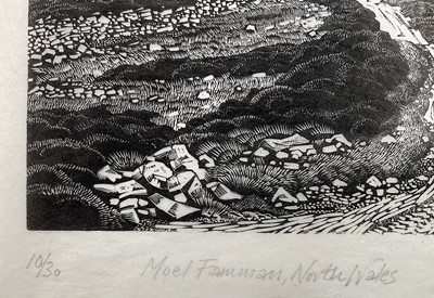 Lot 5 - Barry Woodcock, limited edition woodcut, Moel Fammau, North Wales, signed and dated 1987, edition number 10/30, in glazed frame, 10cm x 12.5cm.