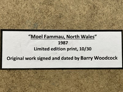 Lot 5 - Barry Woodcock, limited edition woodcut, Moel Fammau, North Wales, signed and dated 1987, edition number 10/30, in glazed frame, 10cm x 12.5cm.