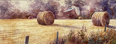 Lot 92 - Brian Rawling b 1930, watercolour, Evening Hunter, Suffolk, signed and dated 1974 verso, in glazed frame, 19.5cm x 50cm.