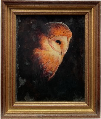 Lot 262 - English School, oil on board, Owl, 26cm x 21cm, glazed and framed