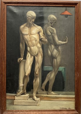 Lot 159 - M. H. Broome, Male anatomical study, oil on canvas, signed and dated 1931