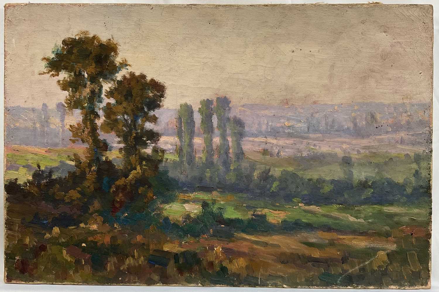 Lot 47 - Impressionist School, oil on canvas, plein air landscape study with Elms, 27cm x 41cm, unframed