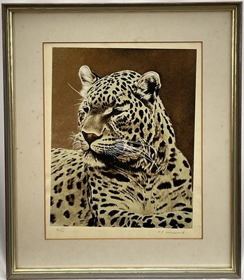 Lot 78 - Timothy J. Greenwood (b. 1947) limited edition coloured etching of a Leopard, signed, 21/50, 38cm x 30cm, in glazed frame