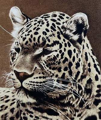 Lot 78 - Timothy J. Greenwood (b. 1947) limited edition coloured etching of a Leopard, signed, 21/50, 38cm x 30cm, in glazed frame