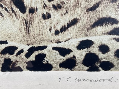 Lot 78 - Timothy J. Greenwood (b. 1947) limited edition coloured etching of a Leopard, signed, 21/50, 38cm x 30cm, in glazed frame