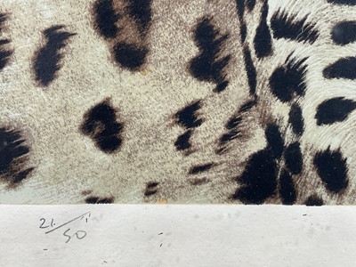 Lot 78 - Timothy J. Greenwood (b. 1947) limited edition coloured etching of a Leopard, signed, 21/50, 38cm x 30cm, in glazed frame