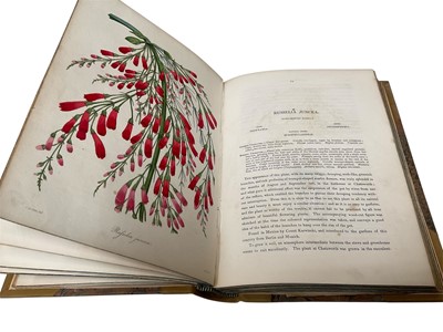 Lot 1333 - Box of books relating to botany