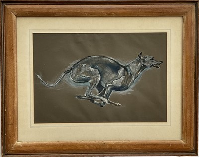 Lot 109 - English School, 1980s, pastel and charcoal - Running Greyhound, indistinctly signed and dated '81, 34cm x 50cm, in glazed oak frame