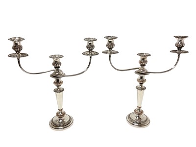 Lot 381 - Pair of 19th century silver plated twin branch candelabra