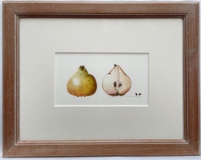 Lot 21 - Nita Miller, watercolour, Study of a Pear, signed and dated '95, 12cm x 21cm, glazed frame