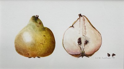 Lot 21 - Nita Miller, watercolour, Study of a Pear, signed and dated '95, 12cm x 21cm, glazed frame