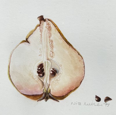 Lot 21 - Nita Miller, watercolour, Study of a Pear, signed and dated '95, 12cm x 21cm, glazed frame