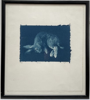 Lot 12 - Cyanotype print of a Rabbit, indistinctly signed, 12cm x 17cm, glazed frame
