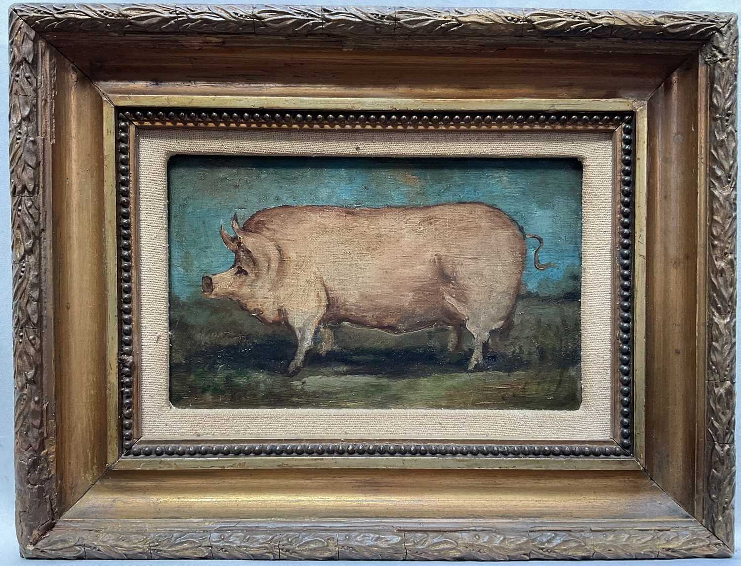 Lot 24 - English School, oil on canvas, A Prize Pig, 12 cm x 19cm, in gilt frame