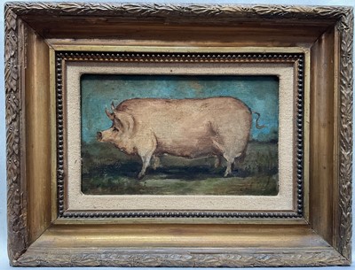 Lot 24 - English School, oil on canvas, A Prize Pig, 12 cm x 19cm, in gilt frame