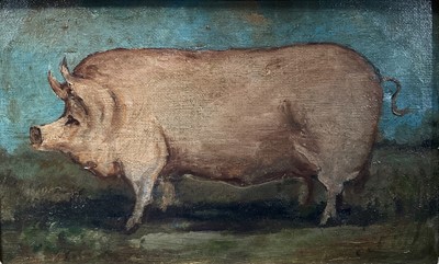 Lot 24 - English School, oil on canvas, A Prize Pig, 12 cm x 19cm, in gilt frame