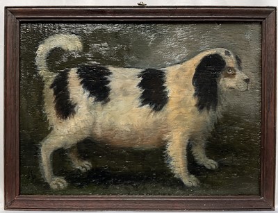 Lot 31 - English School, oil on panel, A Spaniel, 25cm x 35cm, framed