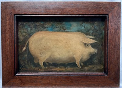 Lot 249 - English School, oil on panel, A Pig, 18cm x 28cm, framed