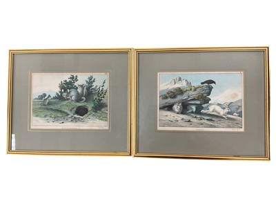 Lot 423 - Twelve educational antique coloured...