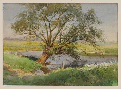 Lot 1074 - Henry Sylvester Stannard (1870-1951) watercolour – Willow by Dewpond, 26cm x 36cm, glazed frame