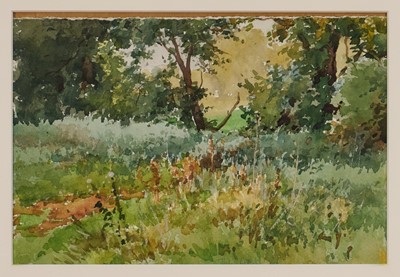 Lot 1075 - Henry Sylvester Stannard (1870-1951) watercolour – Suffolk Woodland, 19 x 28cm