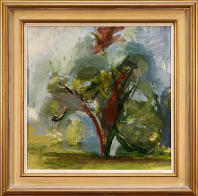 Lot 1084 - Sarah Dancey, contemporary, oil on canvas – Elderflower Tree I, 43.5cm x 43.5cm, in painted frame