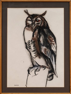 Lot 1086 - Nicholas Pratt (b.1952) charcoal and conte – Eagle Owl blinking, signed, 57cm x 41cm, in glazed frame