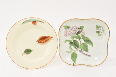 Lot 42 - Wedgwood pearlware botanical square dish, circa 1800-10, and a Wedgwood falling leaves pattern plate