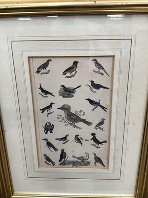 Lot 5125 - Group of 18th / 19th century bird engravings