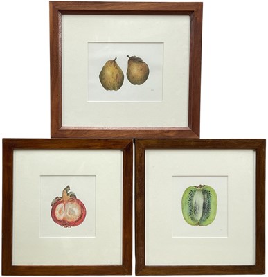 Lot 1140 - Jennifer Howard, four watercolours, Pears, Pak Choi, Pomegranate and Kiwi, signed with initials, 17cm x 23cm, mounted in glazed frames (4)