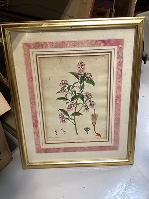 Lot 5078 - Collection of pictures and prints