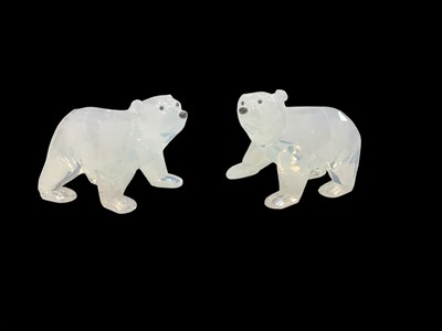 Lot 2313 - Swarovski SCS 2011 pair of bear cubs, boxed