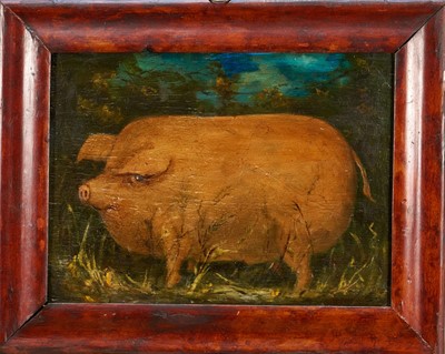 Lot 1225 - English School, oil on coffer panel, A Pig, 22cm x 30cm, framed