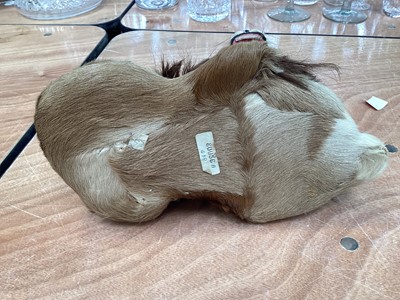 Lot 5020 - Unusual model of a lion covered in real fur and hair
