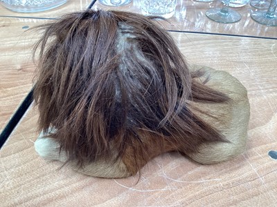 Lot 5020 - Unusual model of a lion covered in real fur and hair