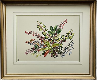 Lot 201 - Barbara Watson F.S.B.A., good quality botanical watercolour, monogrammed, 27cm x 37cm, in glazed frame