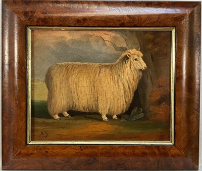 Lot 260 - Antique style oil on panel - A Prize Sheep, initialled A.S., 20cm x 25cm, in maple veneered frame