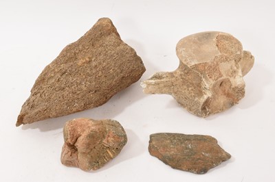 Lot 984 - Fossilized mammoth tusk section, 24cm long and a vertebra