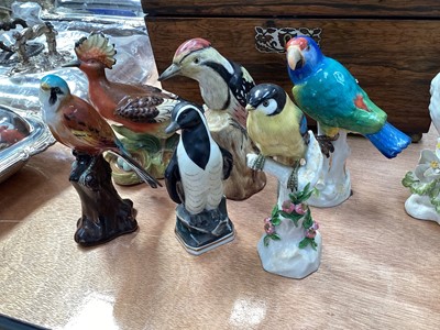 Lot 5098 - Group of ceramic figures of birds, including a Meissen parrot (7)