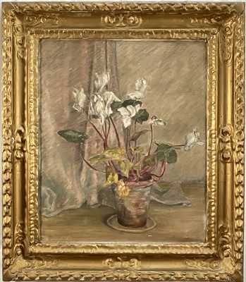 Lot 50 - Mid 20th century oil on canvas, Cyclamen in a Terracotta Pot, 60cm x 50cm, in a gilt frame.