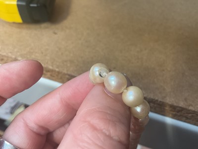 Lot 114 - Cultured pearl single string necklace with a 9ct gold spherical clasp (broken)