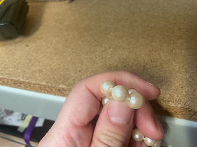 Lot 114 - Cultured pearl single string necklace with a 9ct gold spherical clasp (broken)