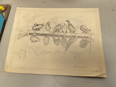 Lot 5392 - Pamela Townshend (1920-2019) pencil study of geese, 30cm x 23cm