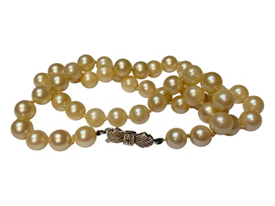 Lot 57 - Cultured pearl single string necklace with a 9ct white gold bow shaped clasp, 42cm long