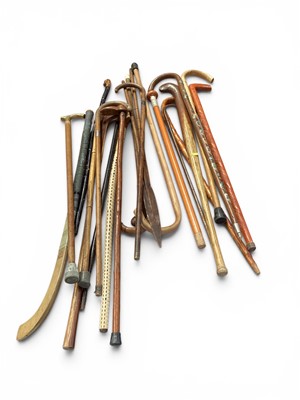 Lot 5225 - Group of walking sticks, including silver collared, vertebrae, etc, together with a Wisden's hockey stick and a spear