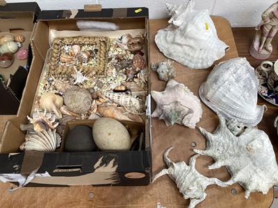 Lot 5053 - Collection of seashells, together with two ostrich eggs