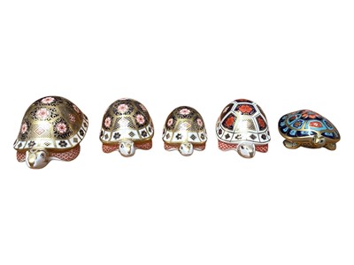 Lot 2215 - Fiour Royal Crown Derby Imari tortoise paperweights, together with a terrapin (5)