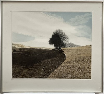 Lot 10 - Phil Greenwood (b. 1943) limited edition etching and aquatint, Winter Ridge, signed and titled, 167/250, 42cm x 50cm, glazed frame
